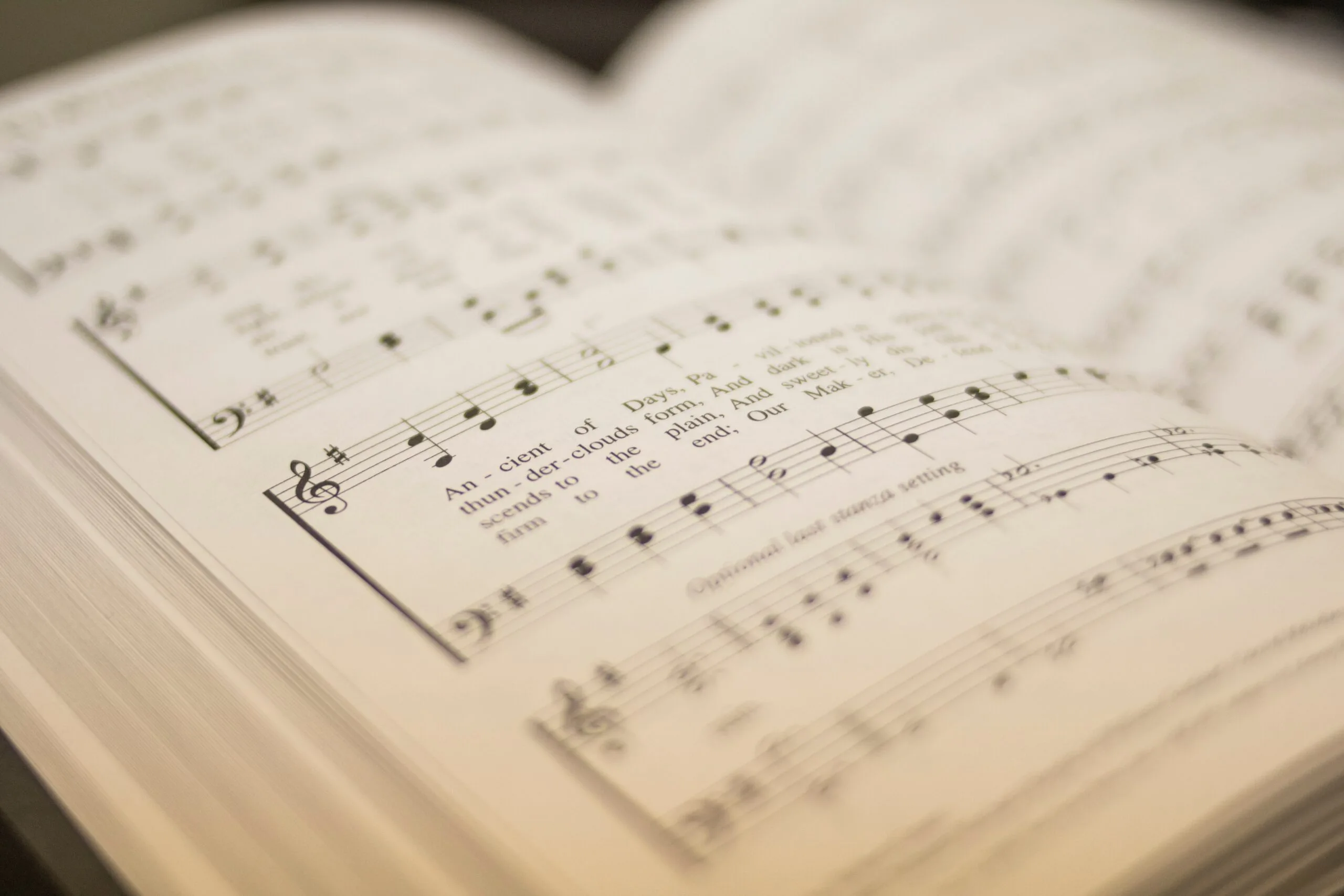 Choir/Folk Group
