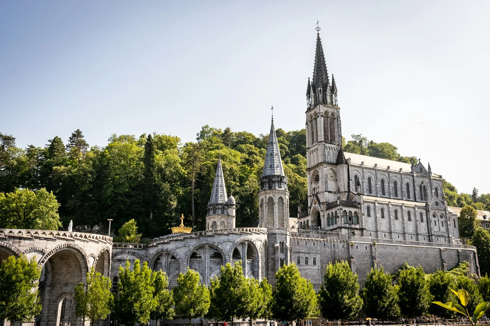 Lourdes Fund