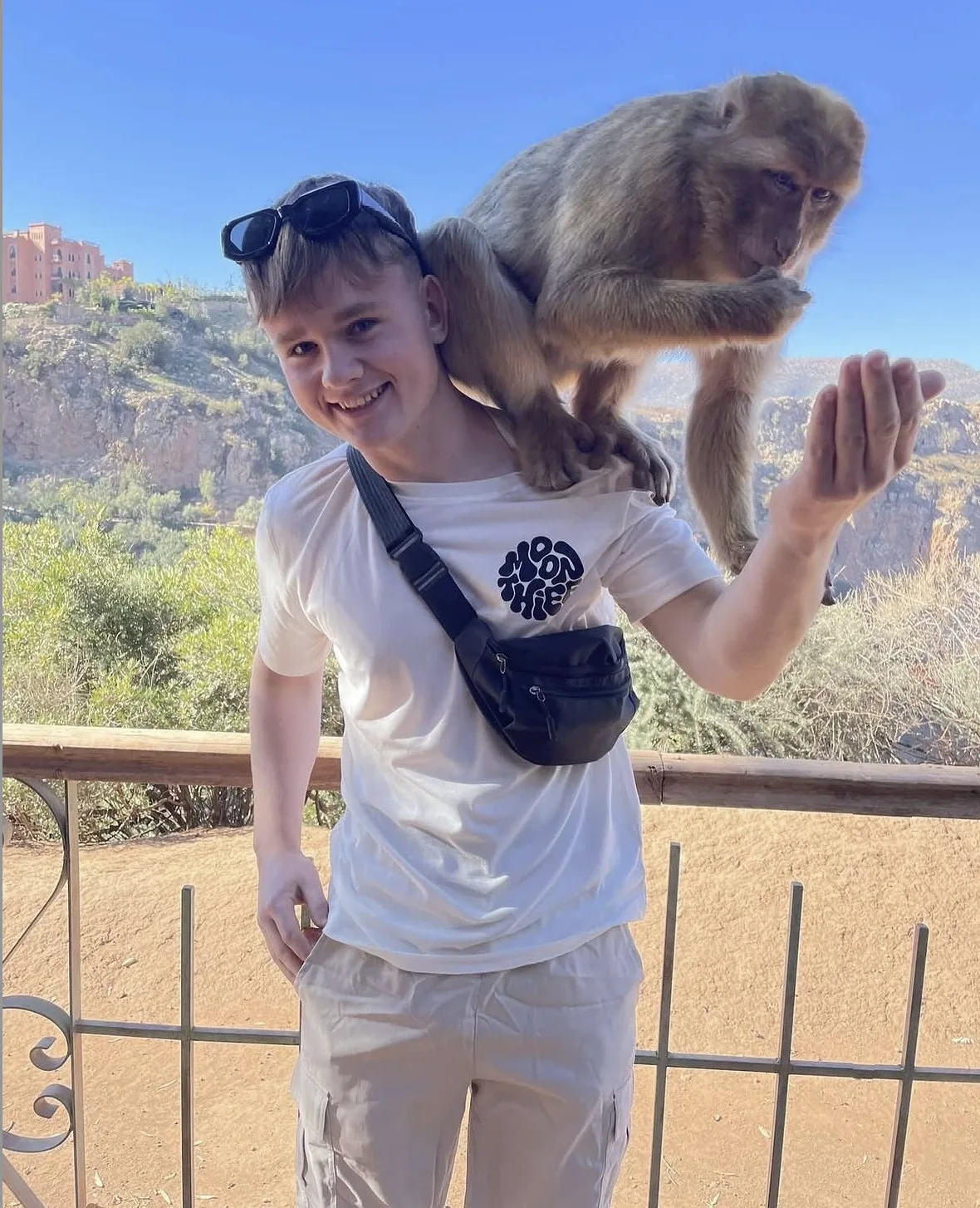 tj
